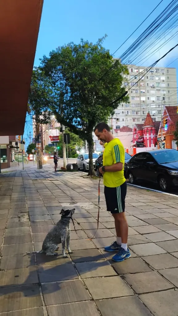 Aula na calçada, tutor e cão